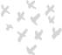 Shape Image
